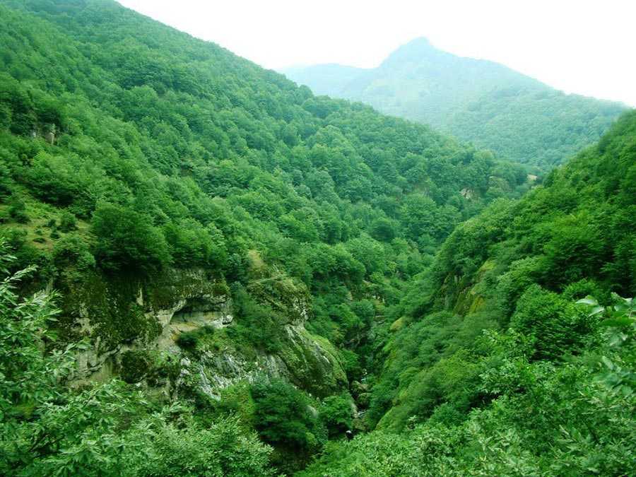 پارک جنگلی بیبی یانلو پارک جنگلی بیبی یانلو