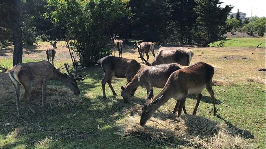 پایگاه حیات وحش لوندویل پایگاه حیات وحش لوندویل