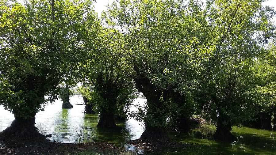 تالاب بینالمللی استیل تالاب بینالمللی استیل