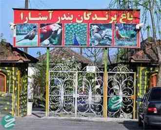 عکس‌هایی زیبا از باغ پرندگان آستارا