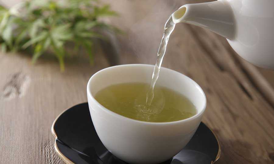 دم آوردن چای سبز نوشیدن چای سبز