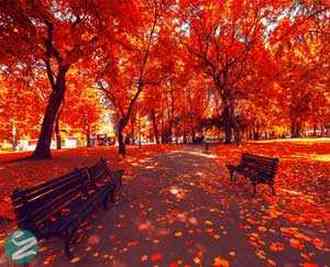 سفر به زیباترین شهرهای اروپا در فصل پاییز