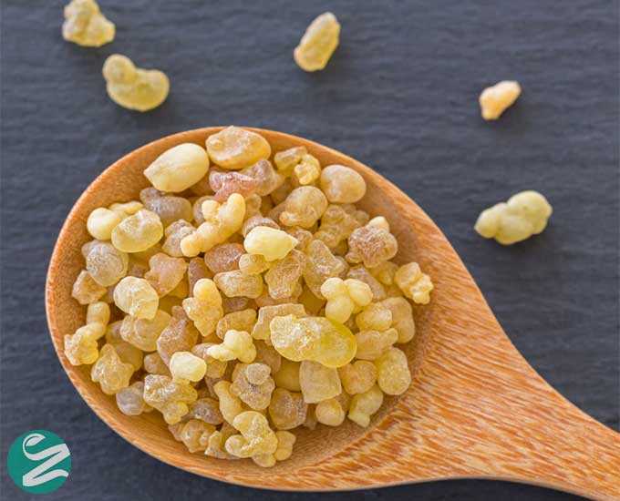 مهم‌ترین خواص و فواید کندر برای سلامتی