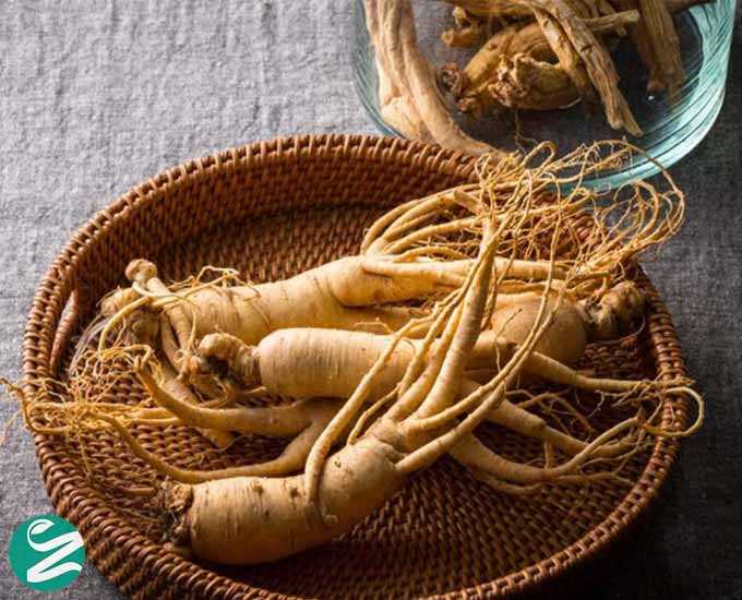 22 خواص و فایده شگفت‌انگیز جینسینگ