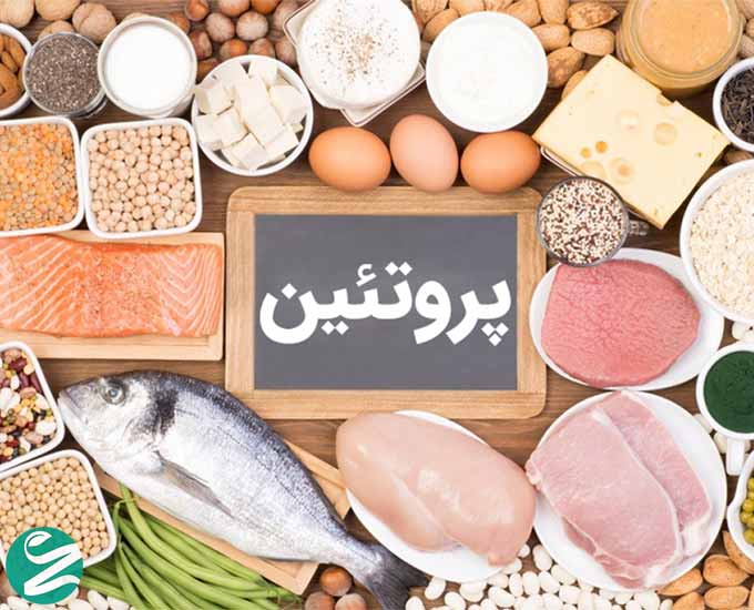 آیا مصرف زیاد پروتئین برای سلامتی ضرر دارد؟