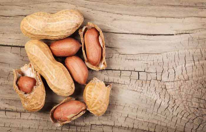 خرید بادام زمینی خرید بادام زمینی