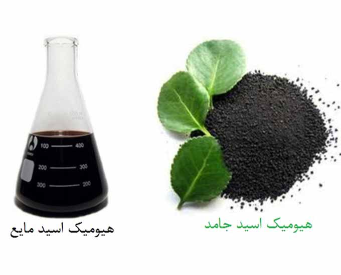 اسید هیومیک برای گیاهان آپارتمانی و 8 فایده آن