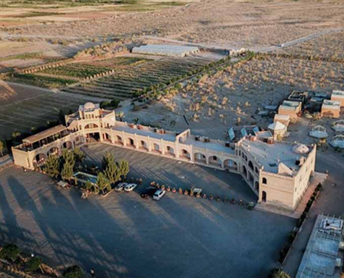 در سفر به اکو کمپ کویری متین آباد، مراقب این حیوانات باشید