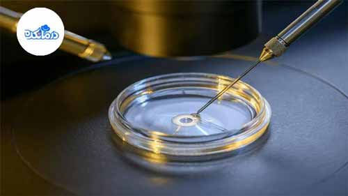 تصویر لقاح آزمایشگاهی در روش IVF را نشان میدهد. در طی آن تخمک و اسپرم در محیط آزمایشگاه لقاح مییابند. تصویر لقاح آزمایشگاهی در روش IVF را نشان میدهد. در طی آن تخمک و اسپرم در محیط آزمایشگاه لقاح مییابند.