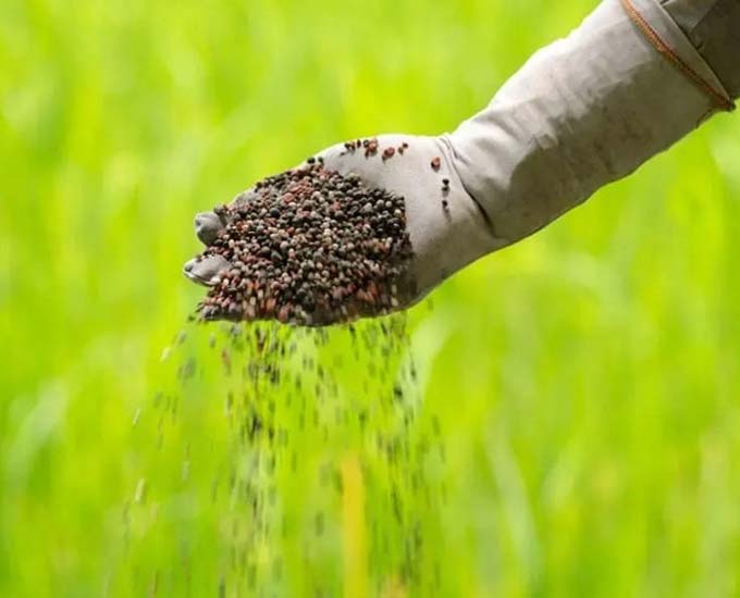 معایب و مضرات کود سه بیست (برای چه گیاهانی مناسب نیست؟)