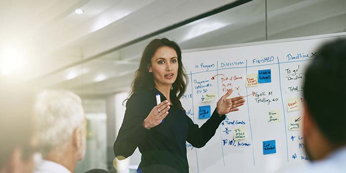 مدیر پروژه (Project Manager) مدیر پروژه (Project Manager)