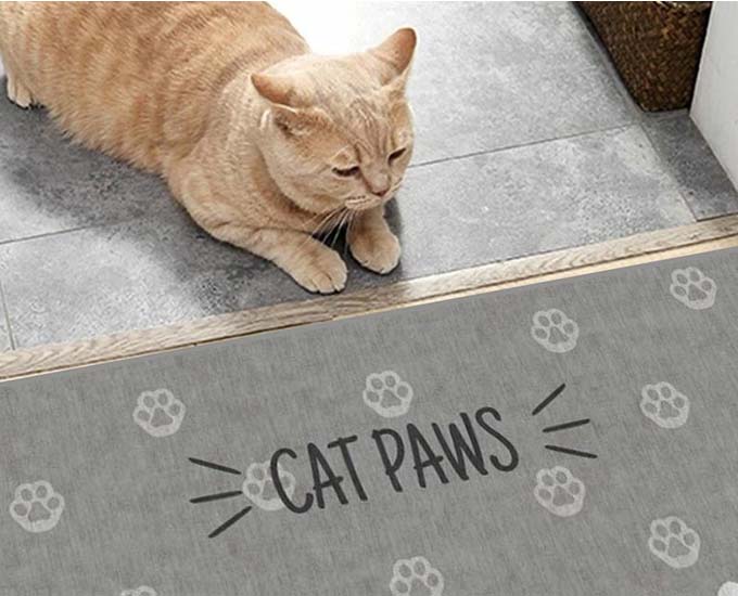 معرفی فرش های جدید با طرح حیوان خانگی