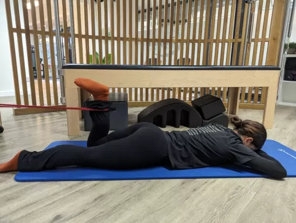 تمرین خم کردن ران در وضعیت خوابیده بر روی شکم (Prone Hamstring Curl)