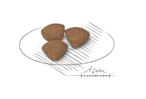 غذای حیوانات خانگی رویال کنین