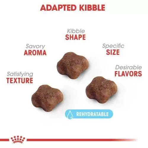 رویال کنین؛ غذای مناسب برای حیوانات خانگی