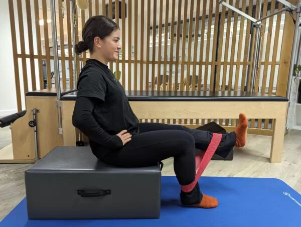 تمرین دراز کشیدن زانو در حالت نشسته (Seat Knee Extension)