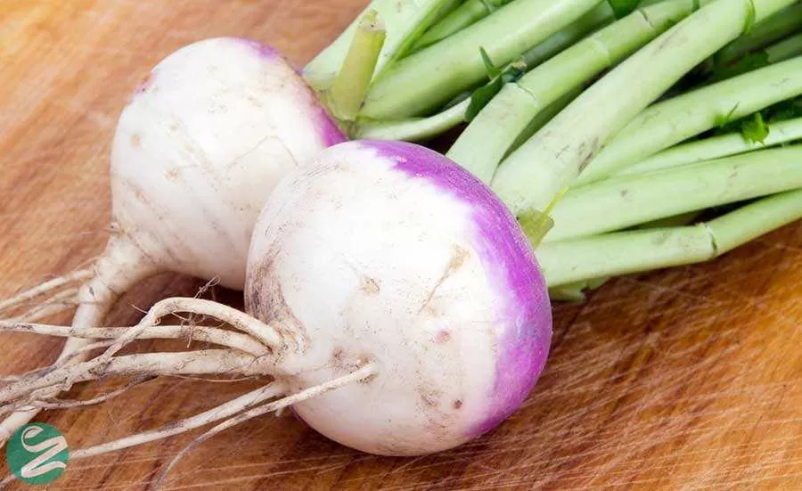 خواص شلغم چیست؟