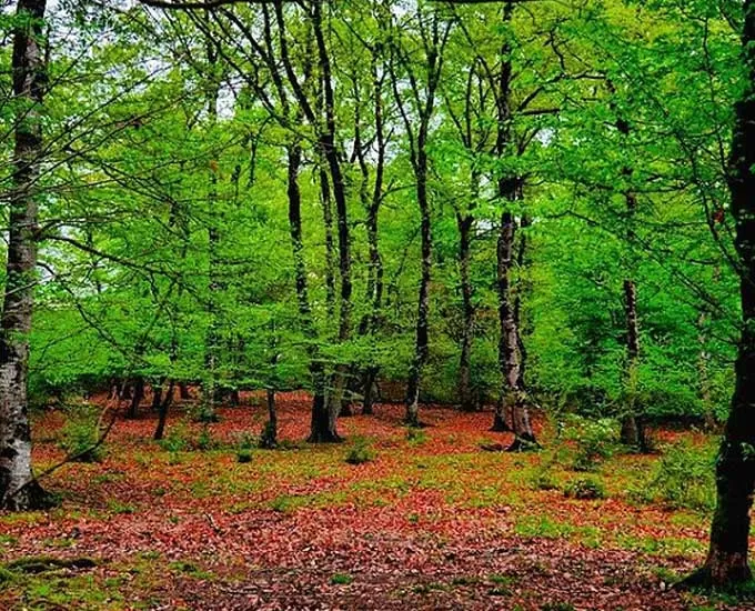 تجربه‌ای به یادماندنی از اقامت در 4 بوم‌گردی نور