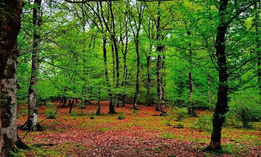 تجربه‌ای به یادماندنی از اقامت در 4 بوم‌گردی نور