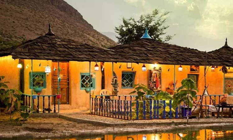 بوم‌گردی پالونیا