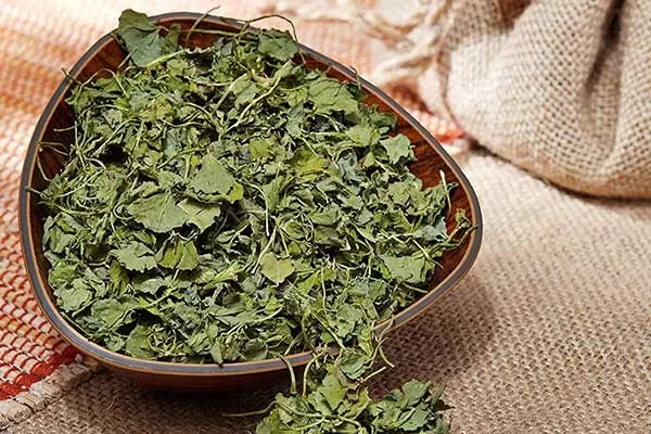نقش خواص شنبلیله خشک در تقویت سیستم ایمنی؛ سپر دفاعی در برابر سرماخوردگی و آنفولانزا