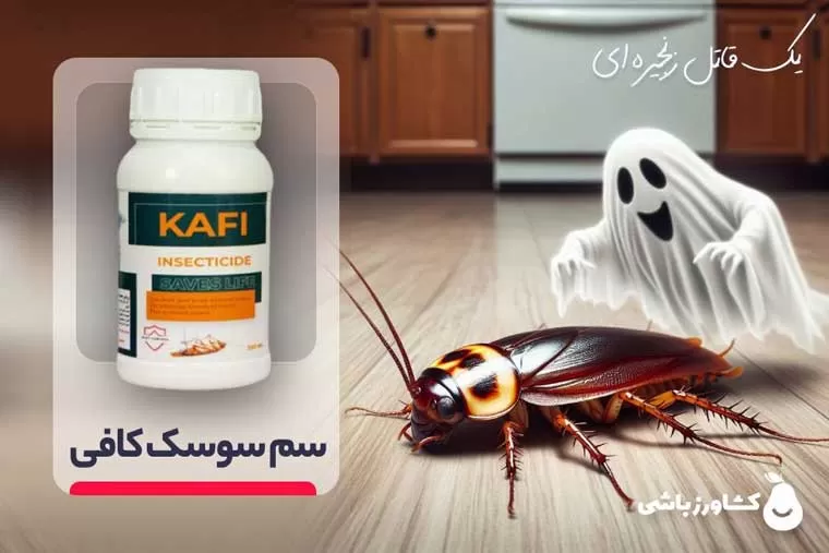 سم سوسک کافی - فرمولاسیون قوی و جدیدترین سم سوسک کش