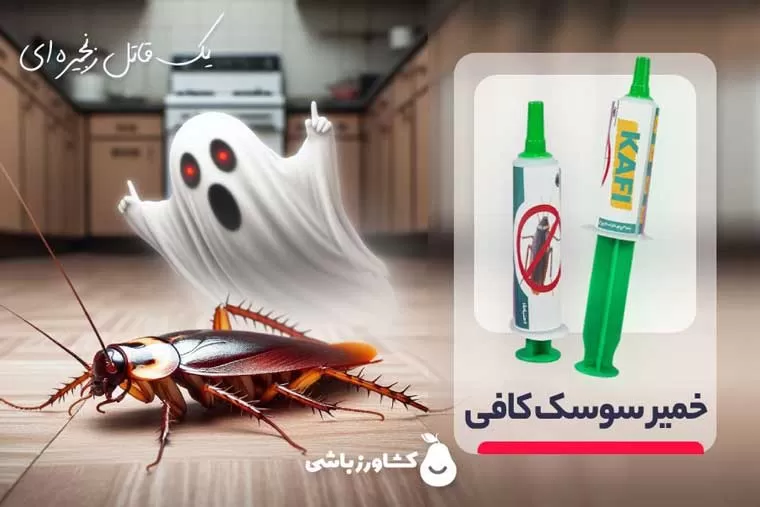 خمیر سوسک کش کافی - سم سوسک آمپولی - خلاص شدن از شر سوسک بدون سمپاشی