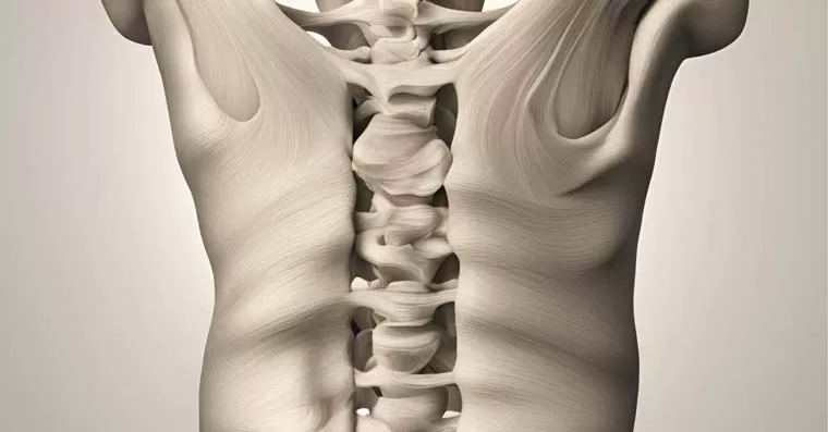 تغذیه مناسب برای دیسک کمر