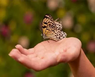 دوره زندگی از آغاز با رویکرد خودشناسی و توسعه فردی