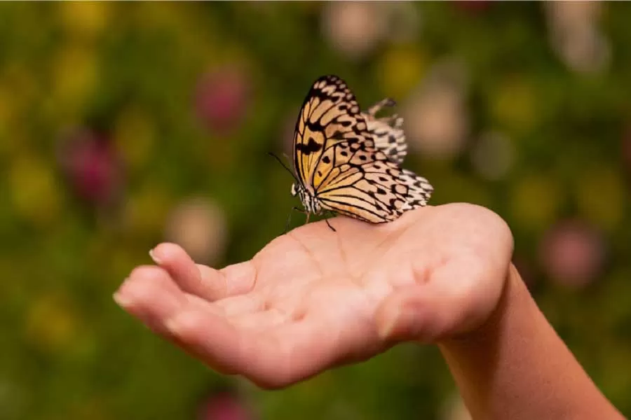 دوره زندگی از آغاز با رویکرد خودشناسی و توسعه فردی
