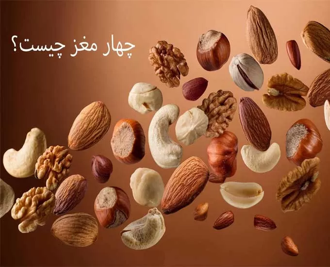 چهار مغز چیست؟ ترکیبات + خواص