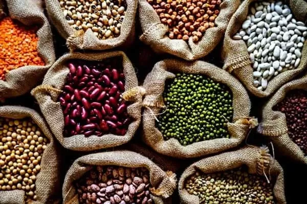 حبوبات سرشار از استروژن