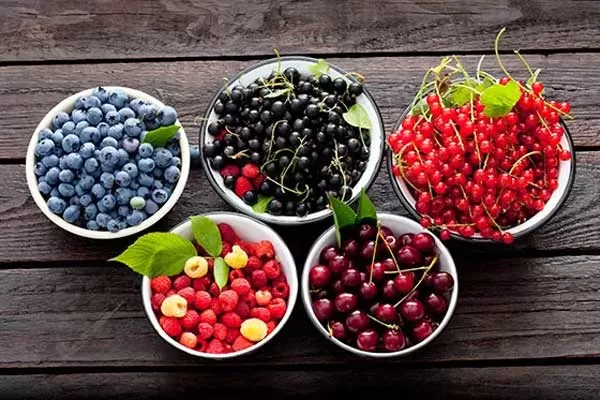 میوه‌های توت و افزایش استروژن بدن