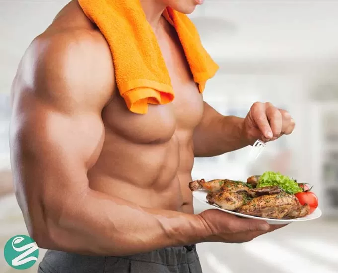 پروتئین چه تاثیری در افزایش توده عضلانی بدنسازان دارد؟