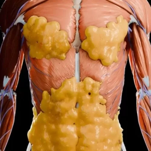 تفاوت بین چربی‌سوزی و کاهش وزن آبی