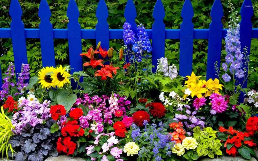 فروش عمده گل فصلی؛ انتخابی هوشمندانه برای زیباسازی فضاهای سبز