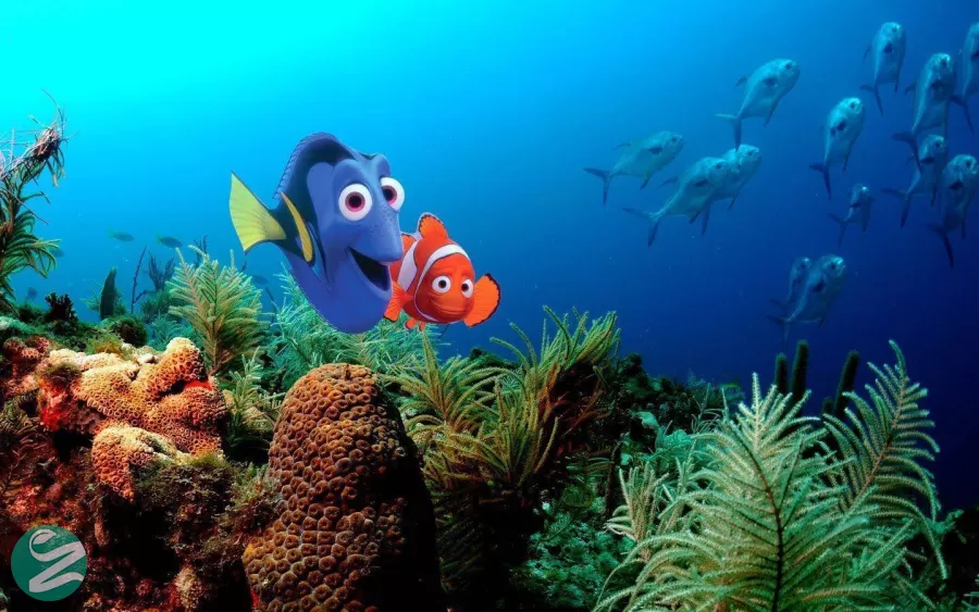 در جستجوی نمو - Finding Nemo