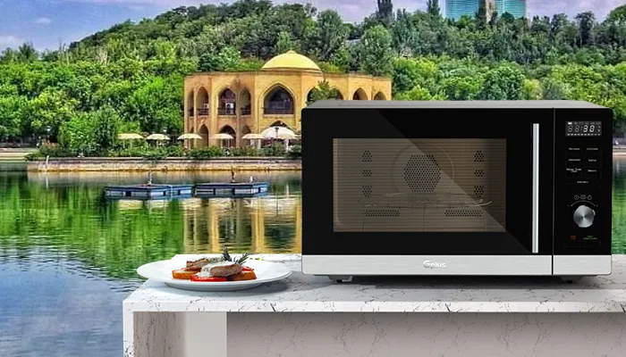 خدمات پس از فروش الجی