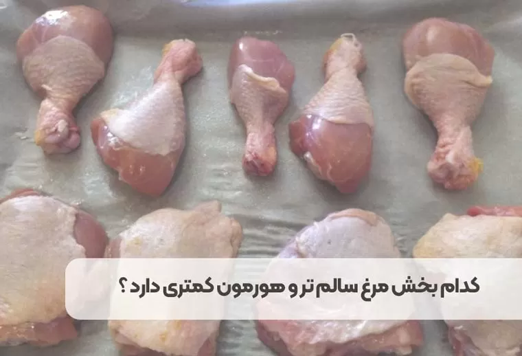 کدام بخش مرغ سالم تر و هورمون کمتری دارد ؟