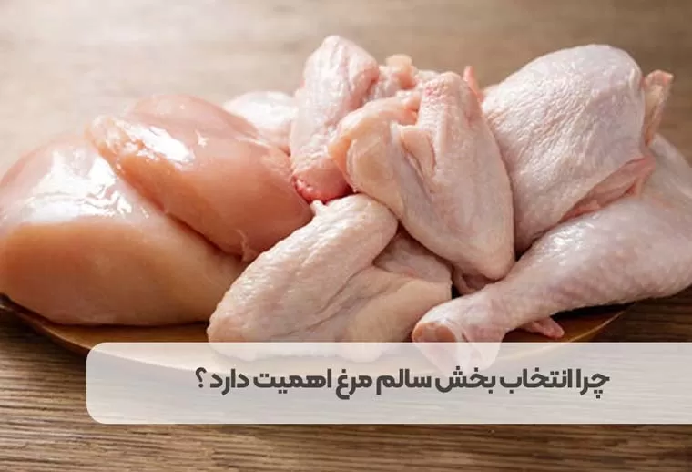 چرا انتخاب بخش سالم مرغ اهمیت دارد ؟