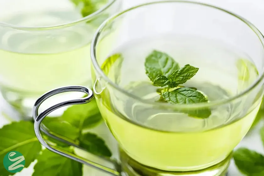 دمنوش نعناع؛ آرامبخش قوی معده