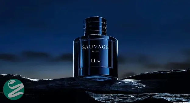 Dior Sauvage Elixir perfume bottle against dark night sky and rocky surface