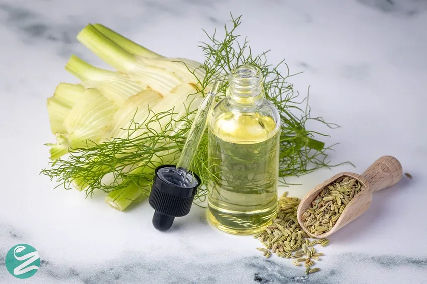 روغن رازیانه (FENNEL)؛ مقوی معده و ضد یبوست