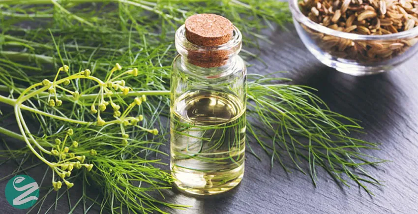 روغن رازیانه (FENNEL)؛ ضدالتهاب و آرامبخش مفاصل