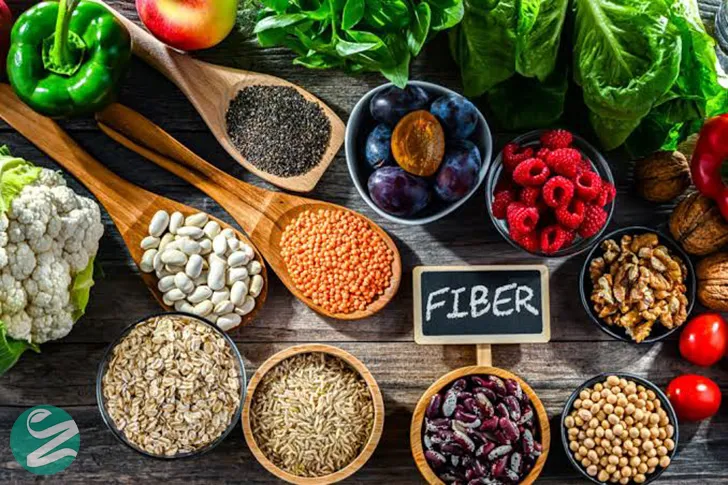فیبر چیست و چه کاری انجام میدهد؟