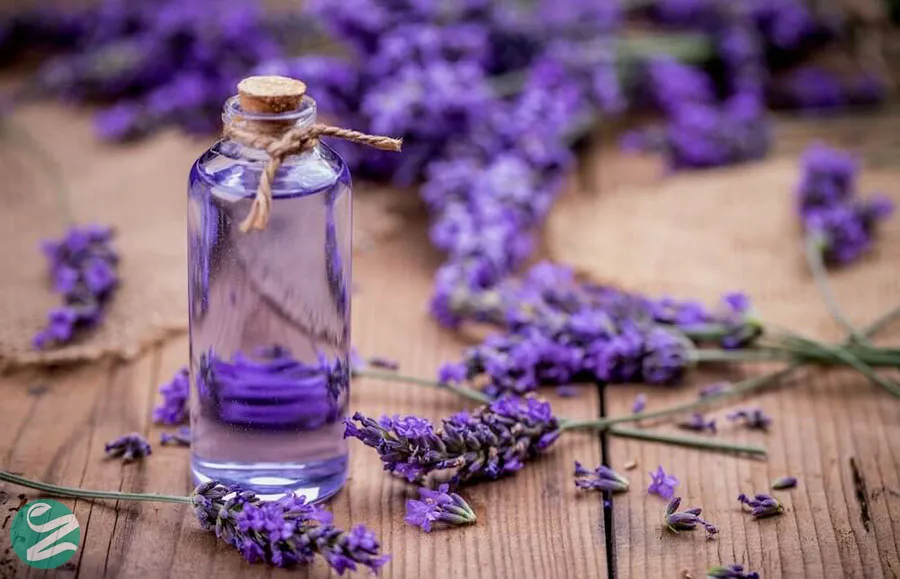 روغن اسطوخودوس (LAVENDER)؛ ملکه آرامش