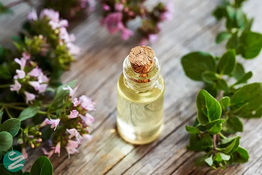 روغن پونه کوهی (OREGANO)؛ ضدعفونی‌کننده قوی روده