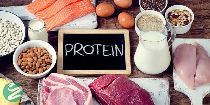 پروتئین چیست و چه کاری انجام میدهد؟