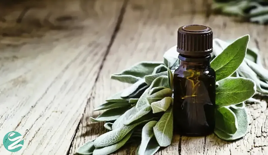 روغن مریم گلی (SALVIA OFFICINALIS)؛ آرام‌بخش اعصاب و تنظیم‌کننده هورمون