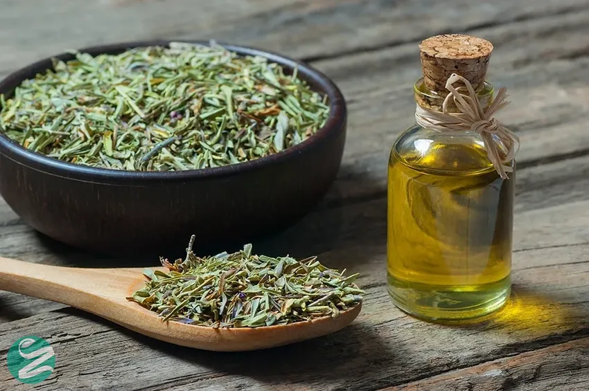 روغن آویشن (THYME)؛ ضدالتهاب و ضد میکروب